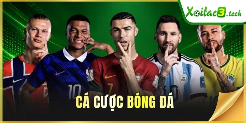Cá Cược Bóng Đá