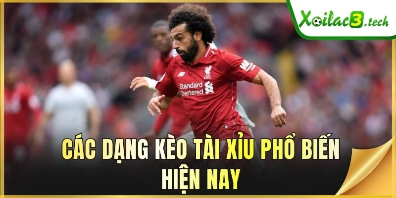 Các dạng kèo tài xỉu phổ biến hiện nay