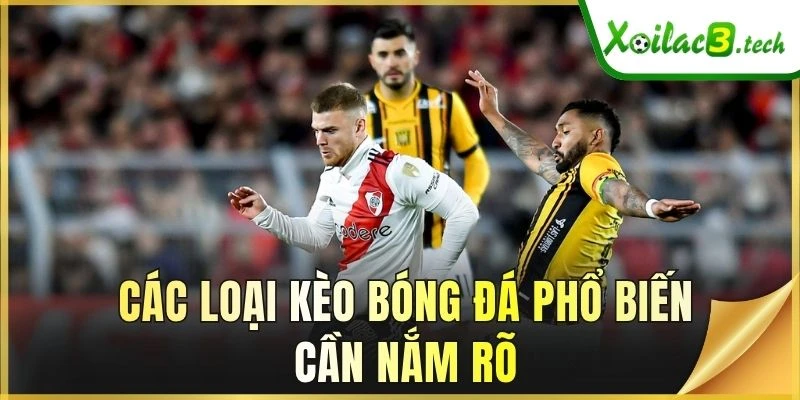 Các loại kèo bóng đá phổ biến cần nắm rõ