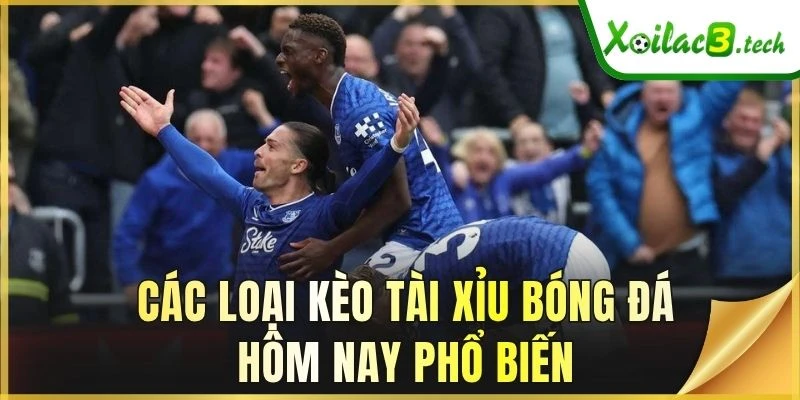 Các loại kèo Tài Xỉu bóng đá hôm nay phổ biến