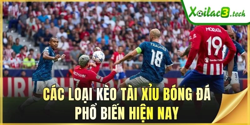 Các loại kèo Tài Xỉu bóng đá phổ biến hiện nay