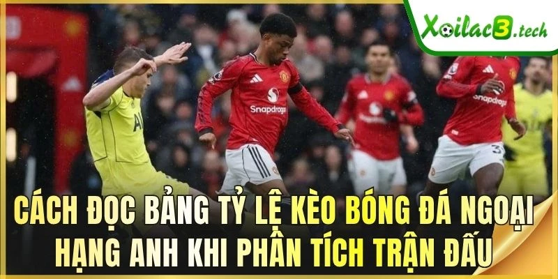 Cách đọc bảng tỷ lệ kèo bóng đá Ngoại hạng Anh khi phân tích trận đấu