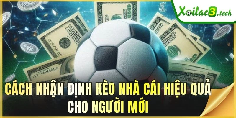 Cách nhận định kèo nhà cái hiệu quả cho người mới