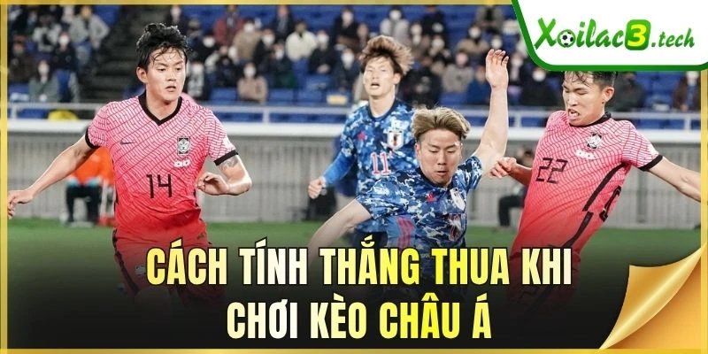 Cách tính thắng thua khi chơi kèo châu Á