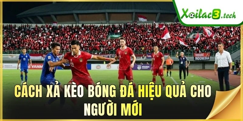 Cách xả kèo bóng đá hiệu quả cho người mới