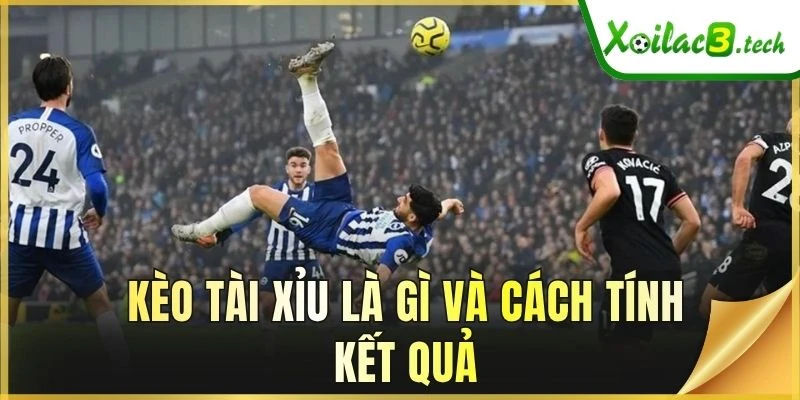 Kèo tài xỉu là gì và cách tính kết quả
