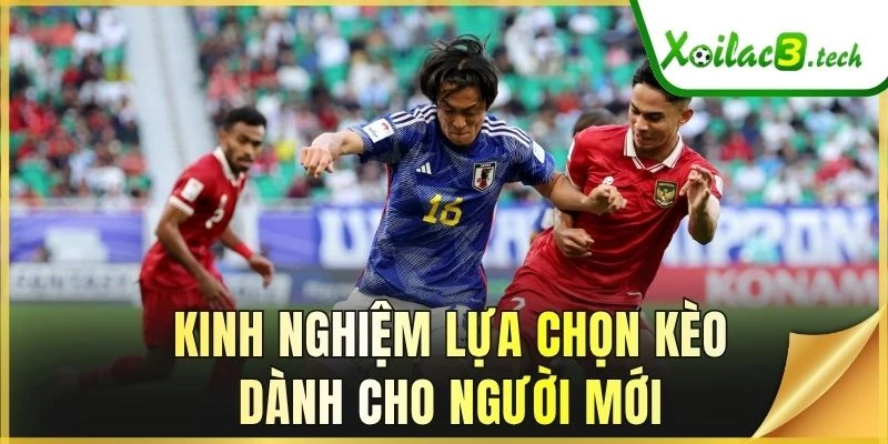 Kinh nghiệm lựa chọn kèo dành cho người mới