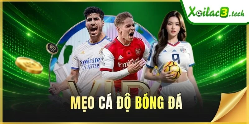 Mẹo Cá Độ Bóng Đá