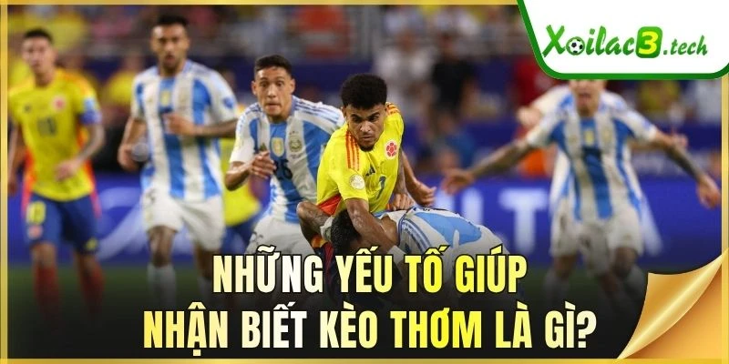 Những yếu tố giúp nhận biết kèo thơm là gì?