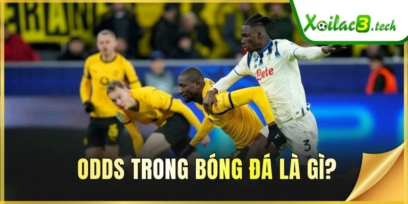 Odds trong bóng đá là gì?